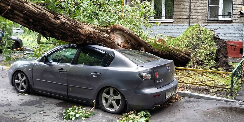 Сильный ветер повредил 80 автомобилей в Москве