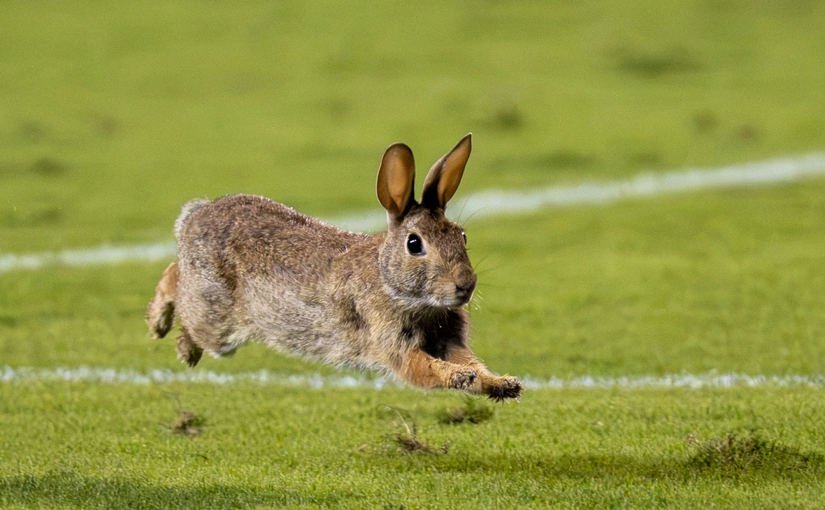 Raymond Carlin III / Imagn Images / Reuters
