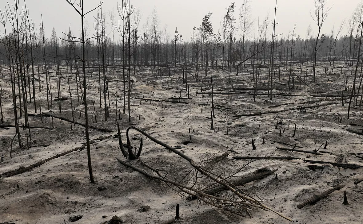 Александр Рюмин / ТАСС