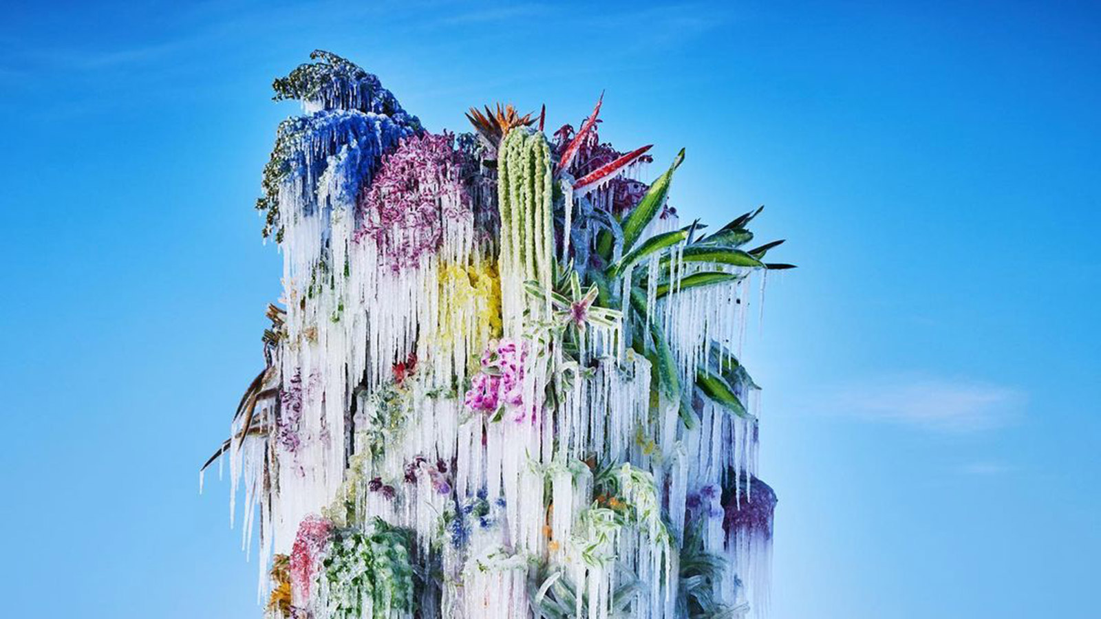 Художник из Японии создал ледяную инсталляцию из цветов