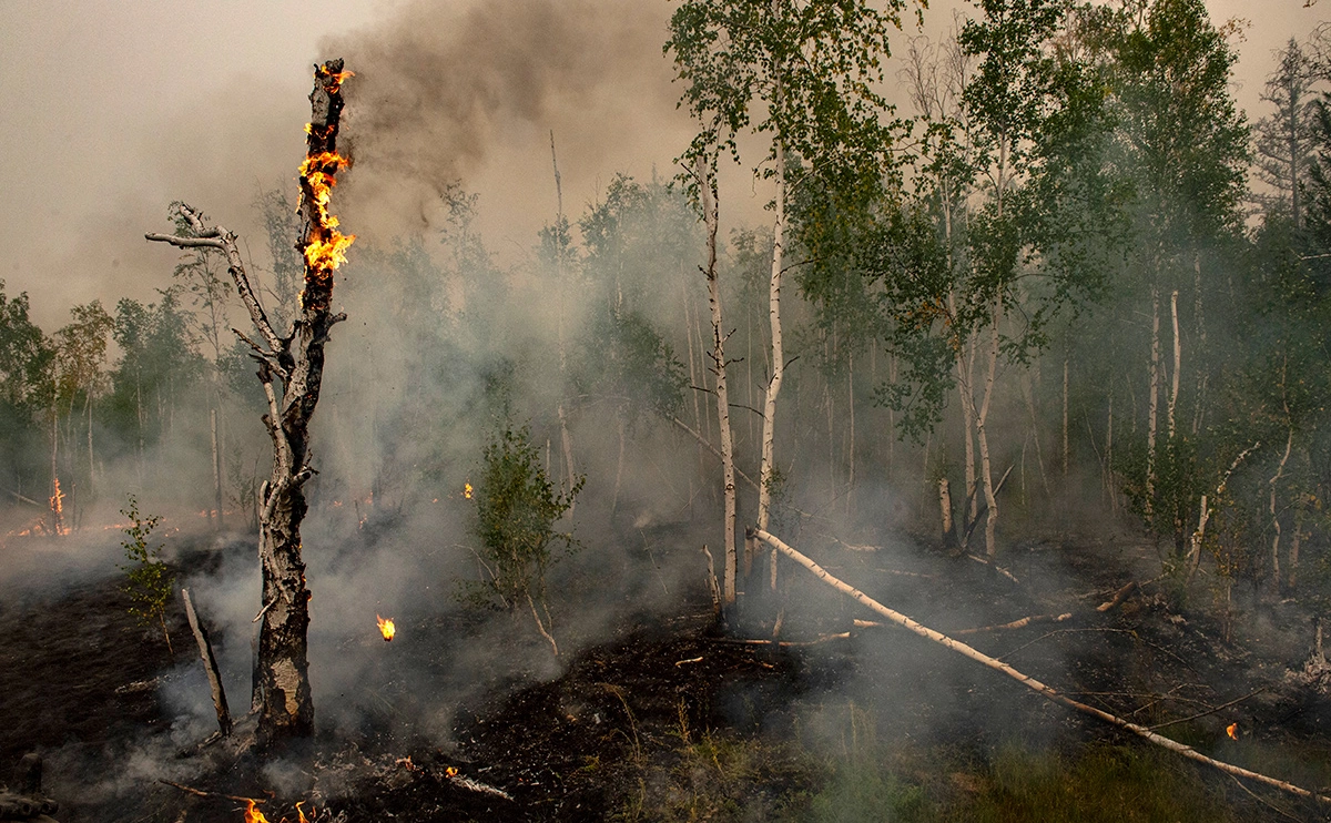 Валерий Мельников / РИА Новости