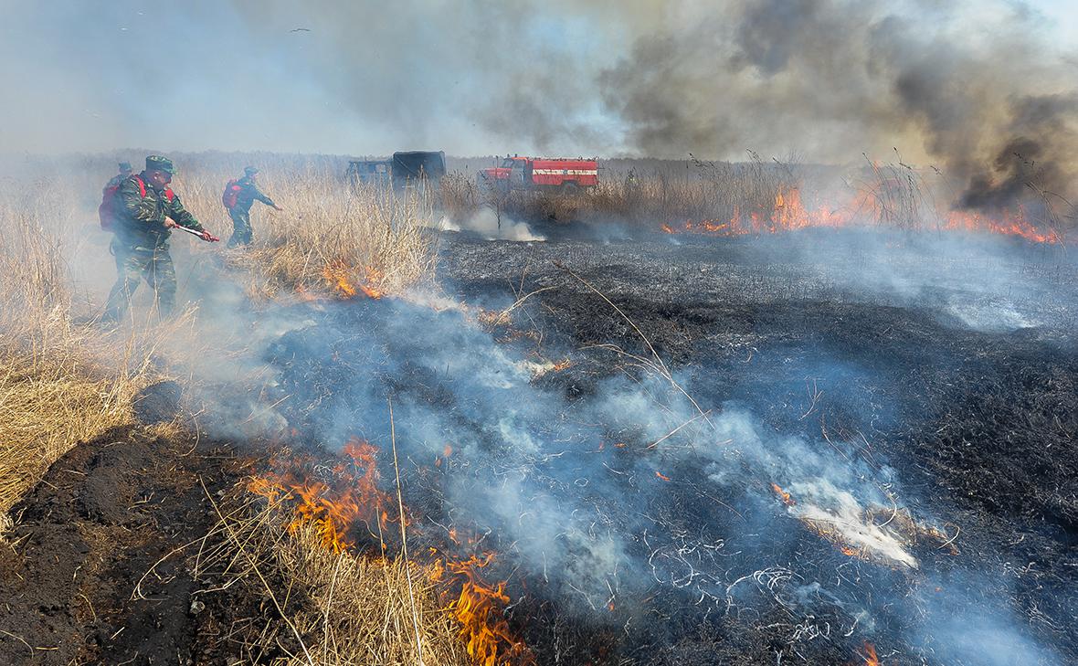 Фото: Вадим Ахметов / URA.RU / ТАСС