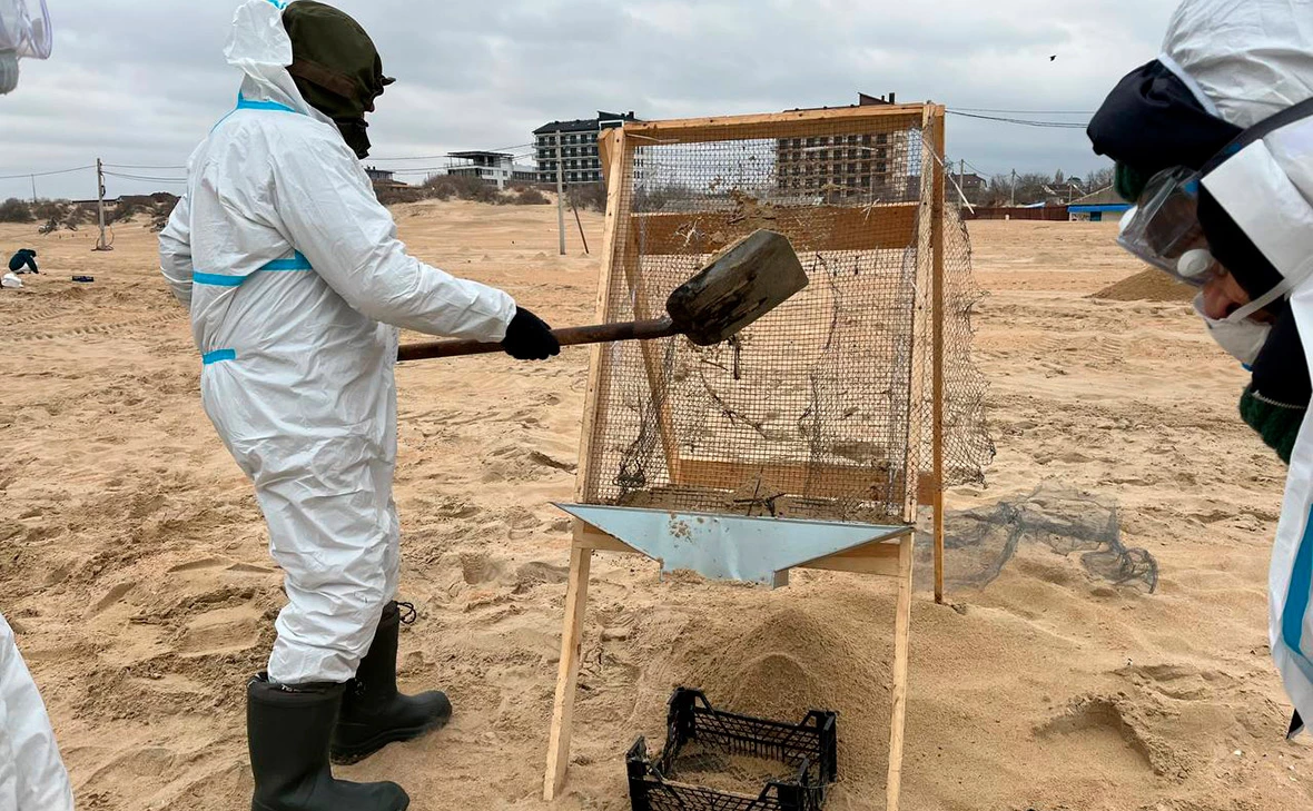 Мария Лисицына / РБК