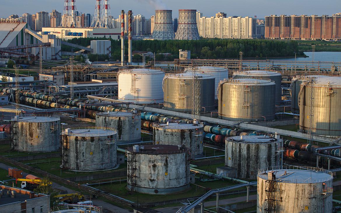 Скигины попросили отменить изъятие акций Петербургского нефтетерминала