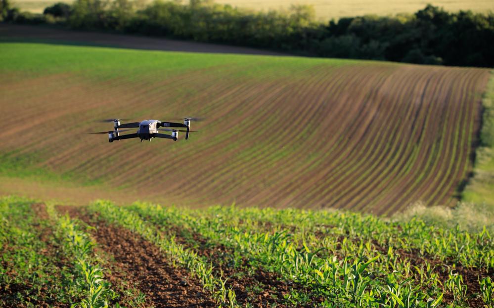 Фото: Shutterstock