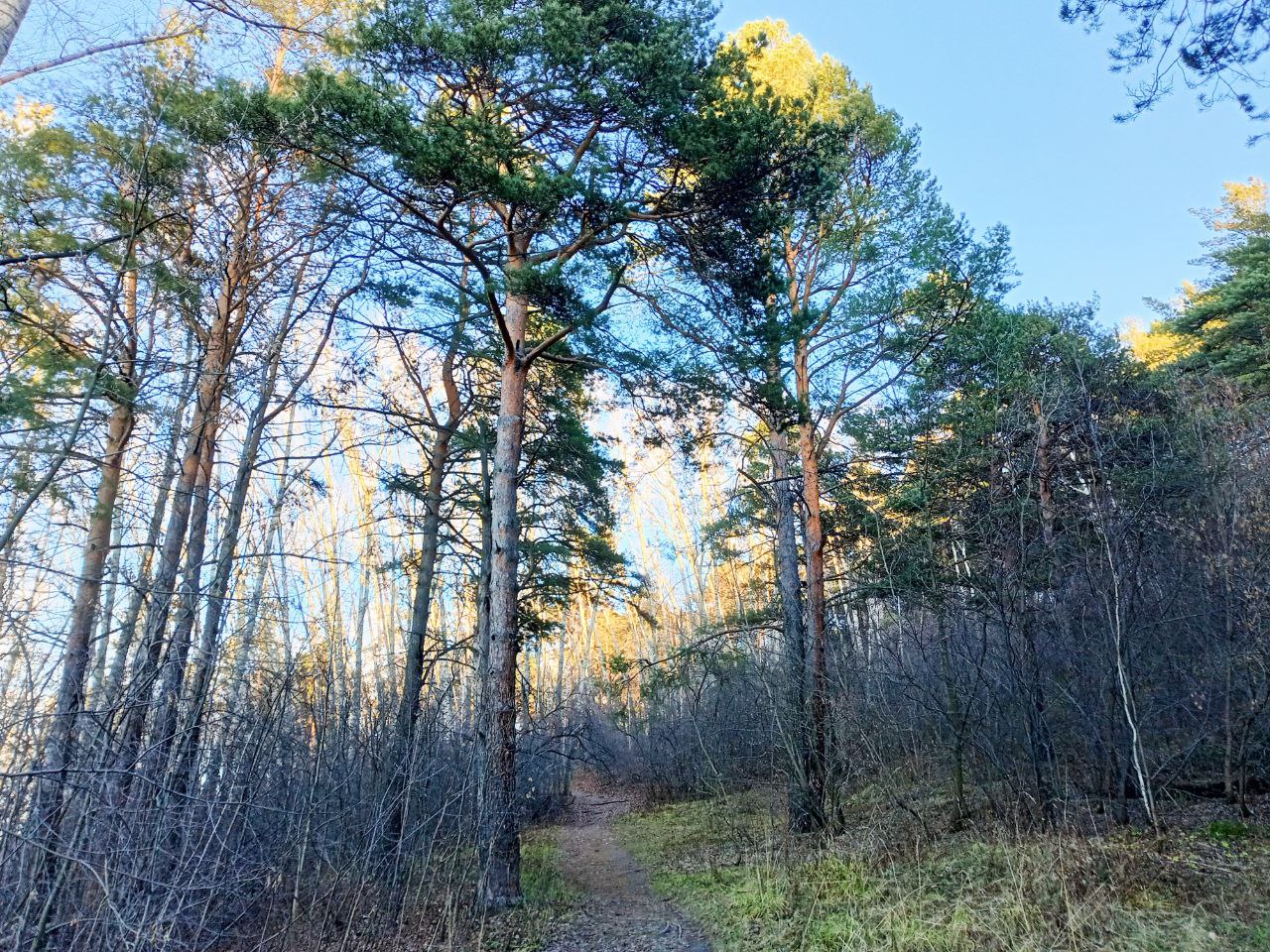 Фото: Алексей Коваленок / РБК Новосибирск