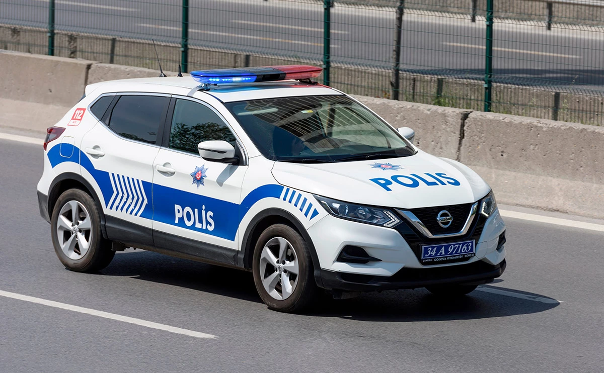 gd_project / Shutterstock