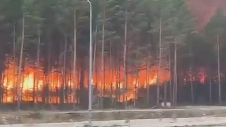 «Роскосмос» оценил риск для космодрома Восточный из-за пожара