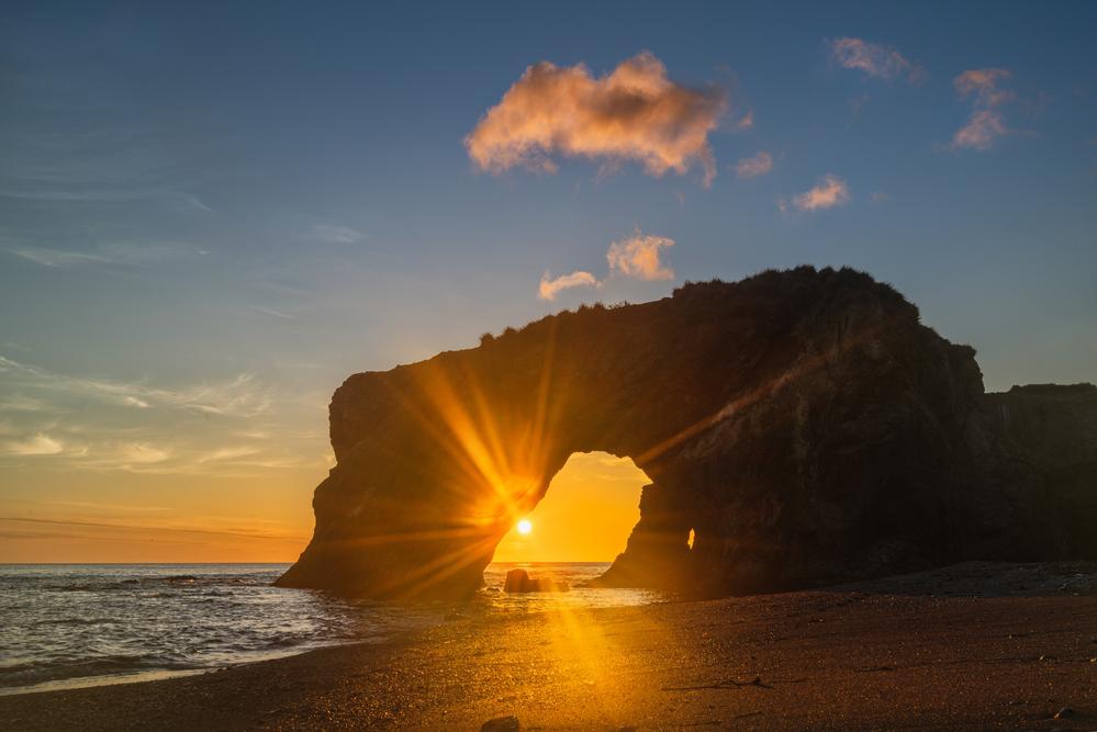 Фото: LARISA DUKA / shutterstock