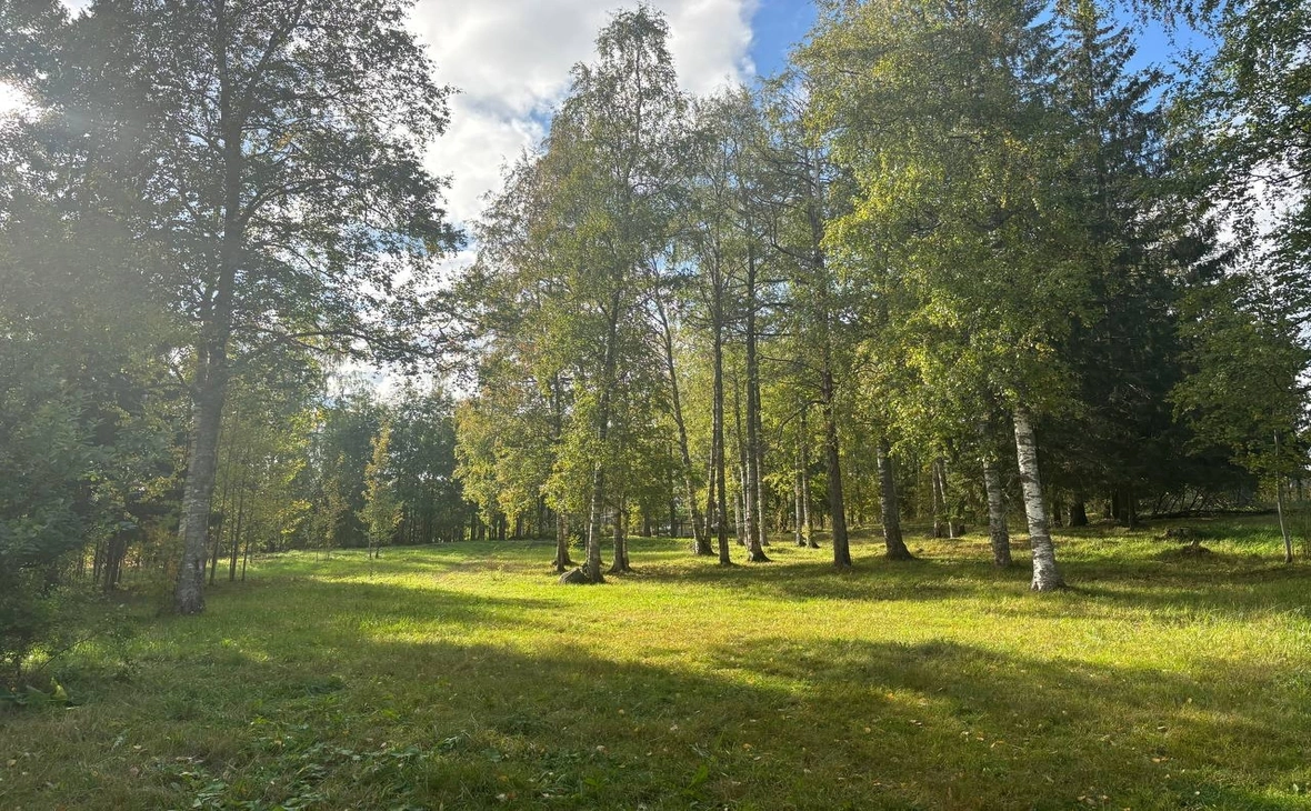 администрация Петрозаводского городского округа/ vk.com 