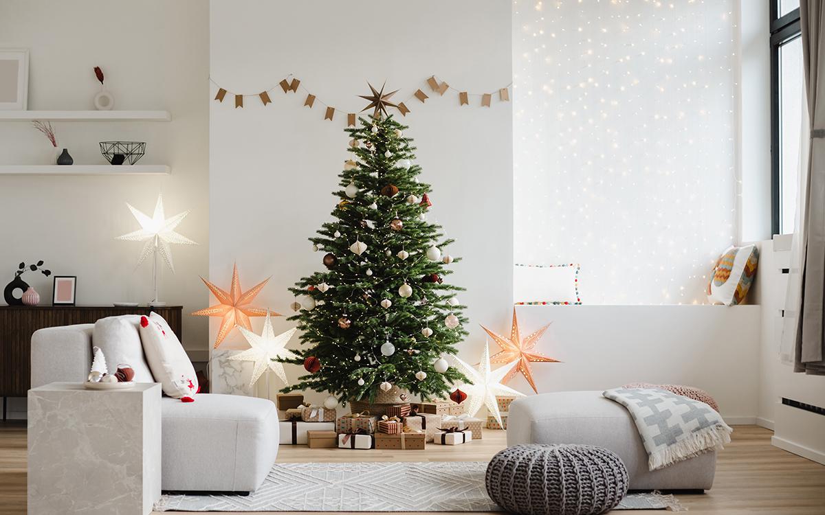 Фото: Kite_rin / Shutterstock / FOTODOM