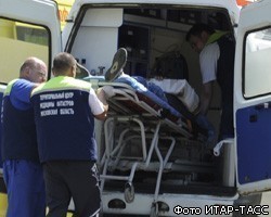 В Ленобласти автомобиль столкнулся с лосем, водитель погиб