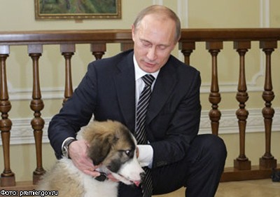 В.Путин выбрал имя для своей новой собаки