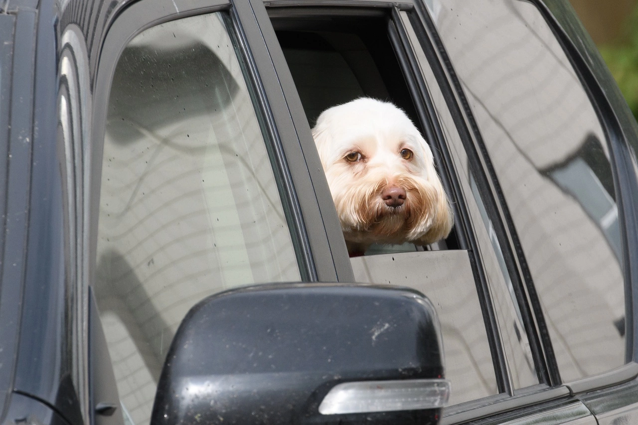 Владимир Жабриков / РИА URA.RU