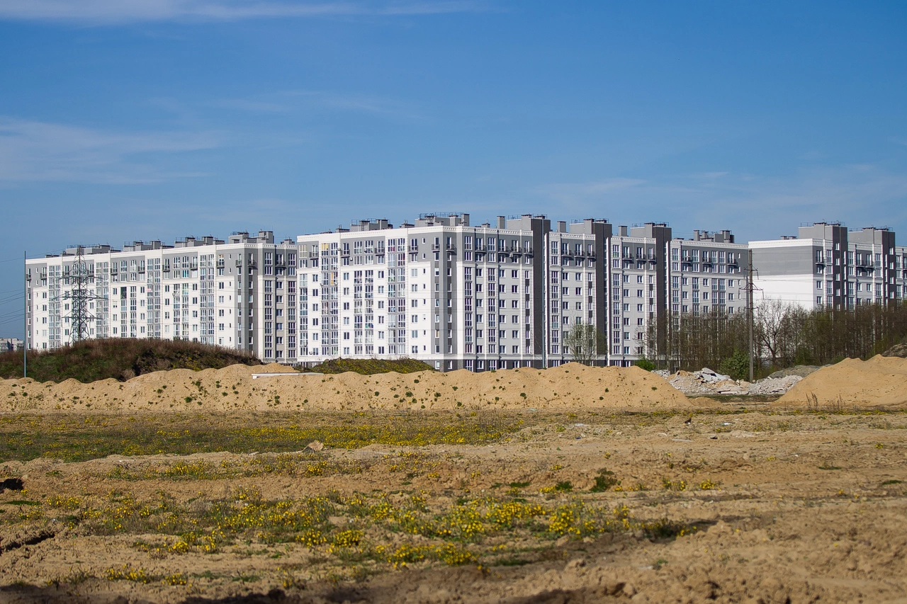 Александр Подгорчук