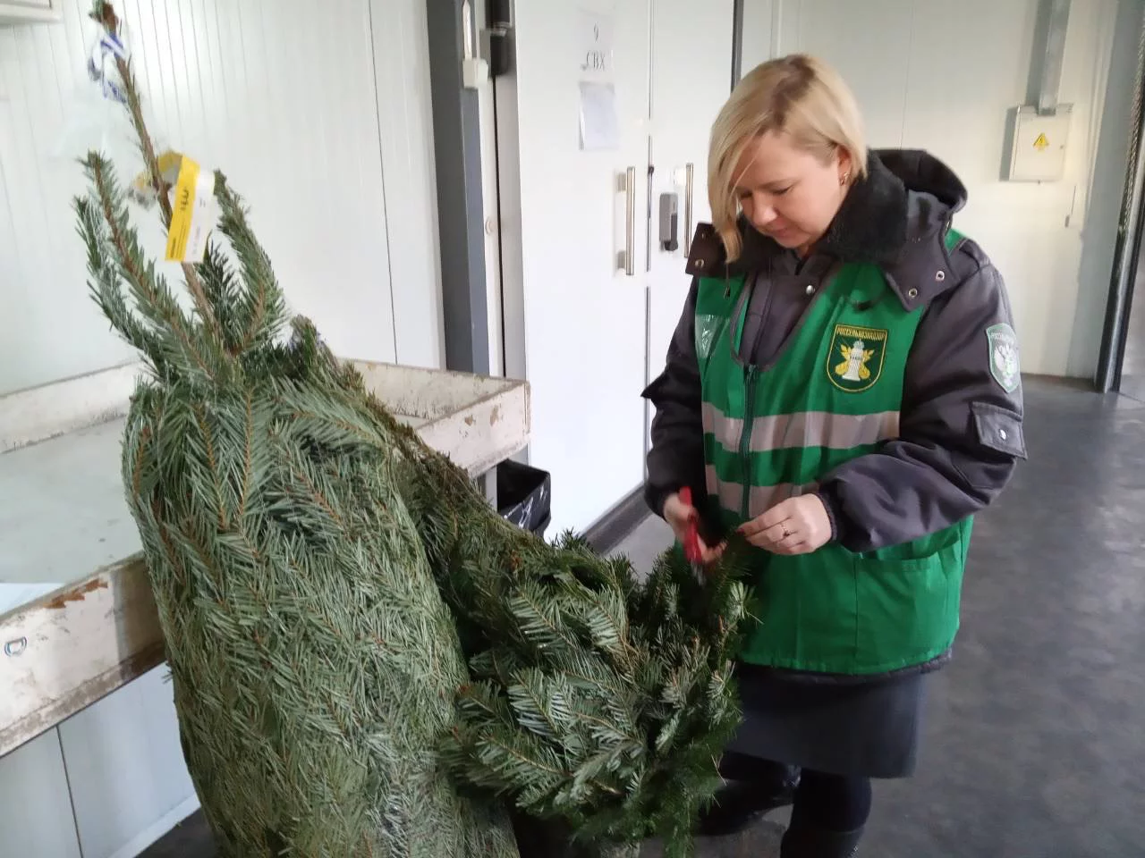 пресс-служба регионального Россельхознадзора