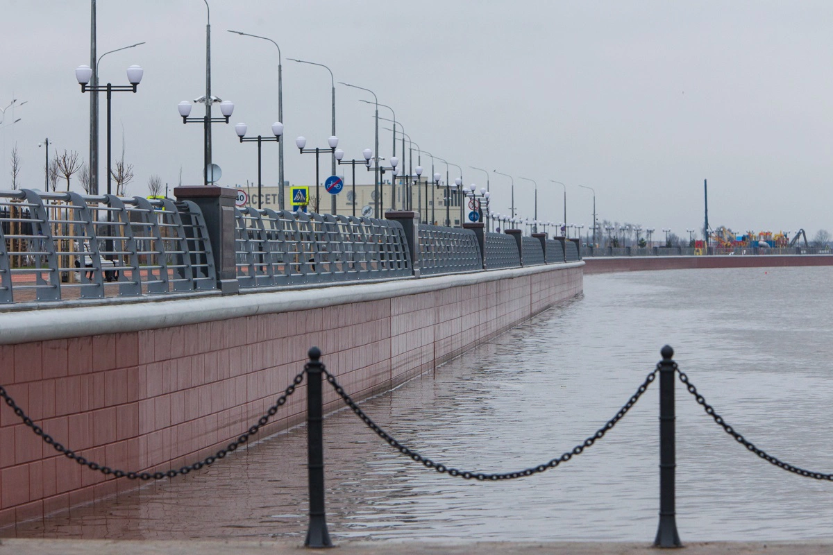 Александр Подгорчук