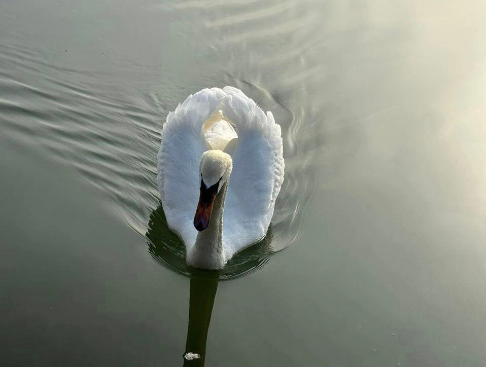 РБК Приморье