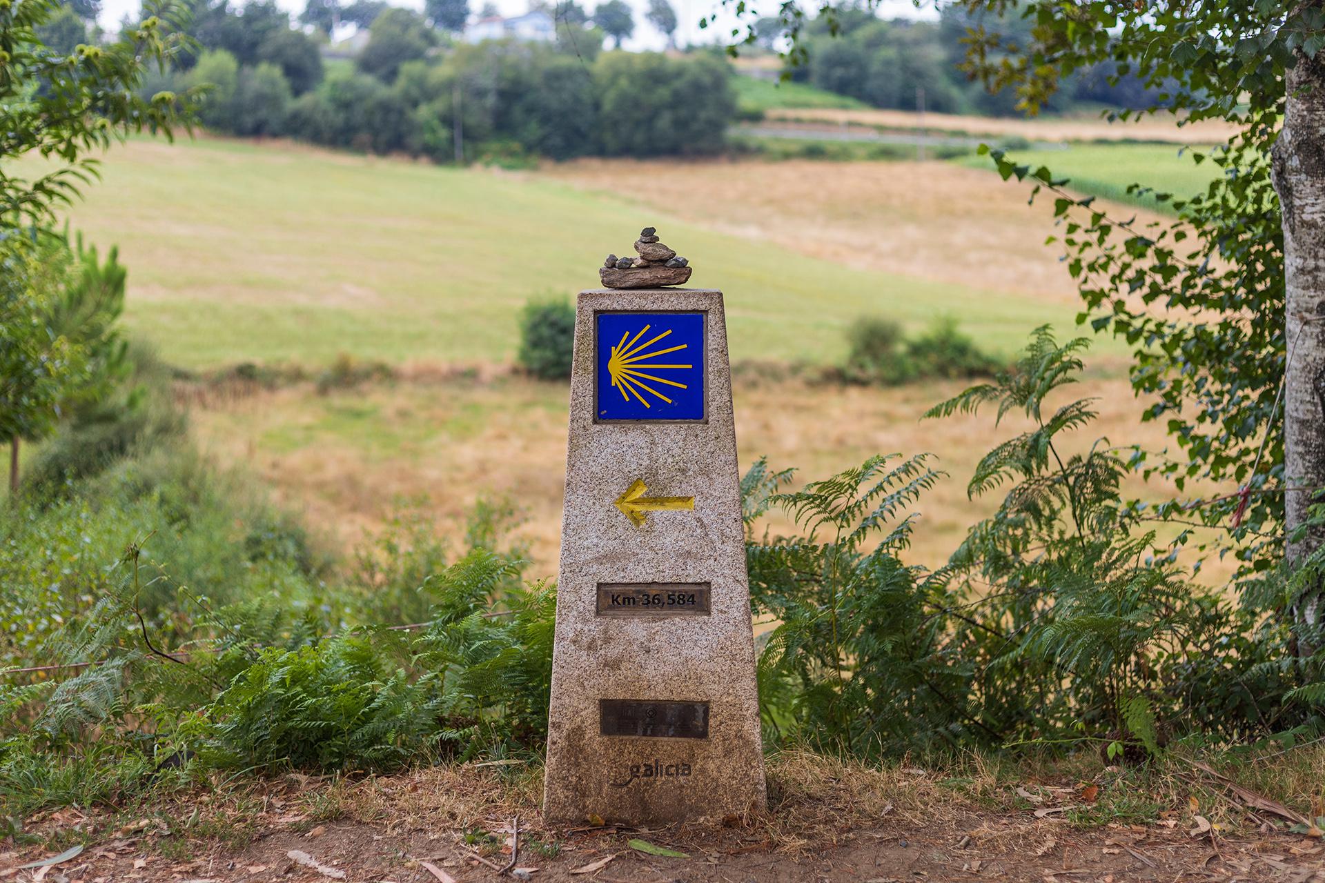 Указатель&nbsp;на&nbsp;паломнической&nbsp;дороге&nbsp;Camino de Santiago&nbsp;вблизи&nbsp;Сантьяго-де-Компостела&nbsp;(Испания)