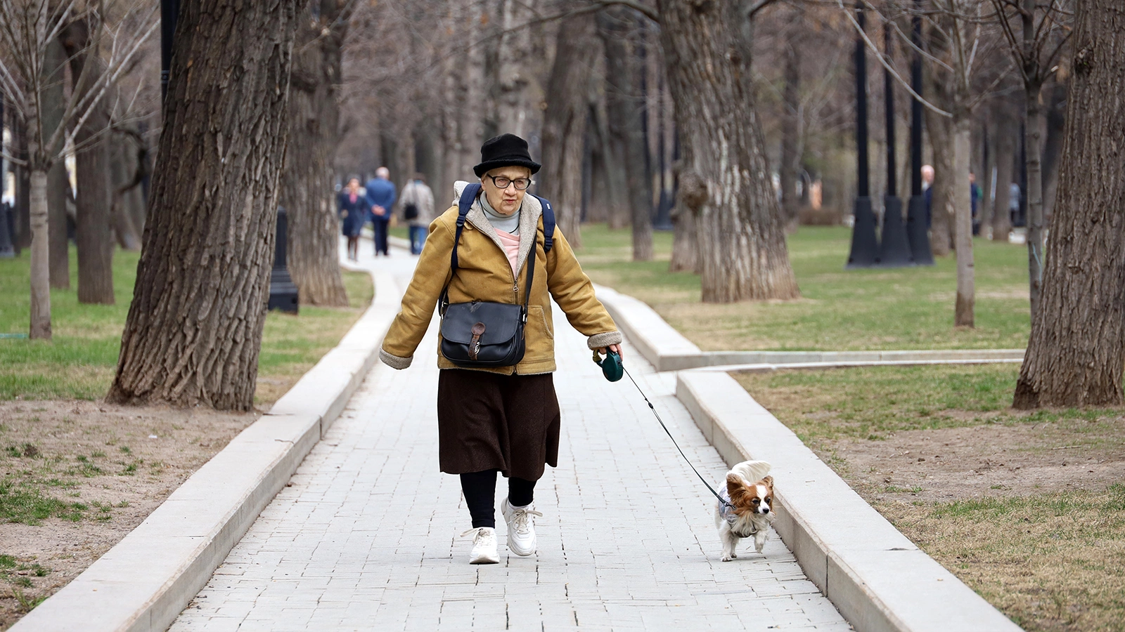 Володин заявил об отсутствии планов по повышению пенсионного возраста