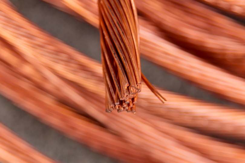 Фото: Shutterstock