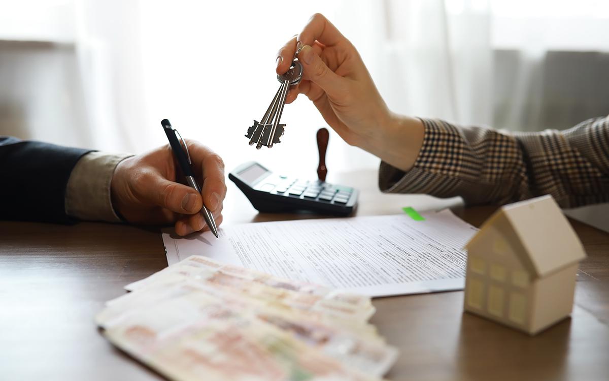 Фото: alexkich / Shutterstock / FOTODOM