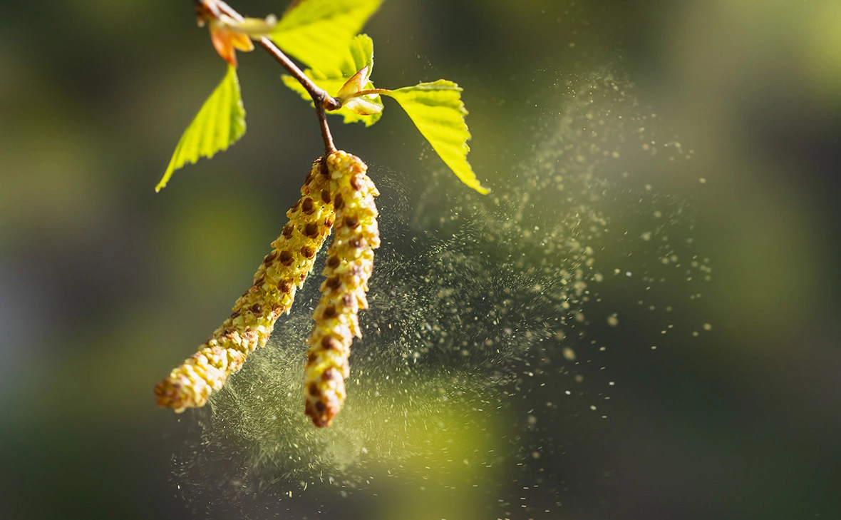 Igor Klyakhin / Shutterstock