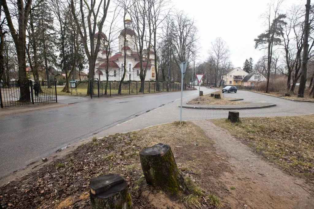 Александр Подгорчук