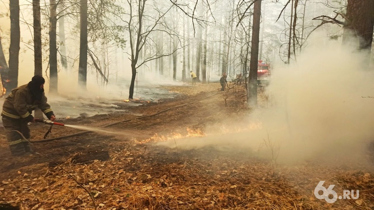Дмитрий Антоненков, 66.RU