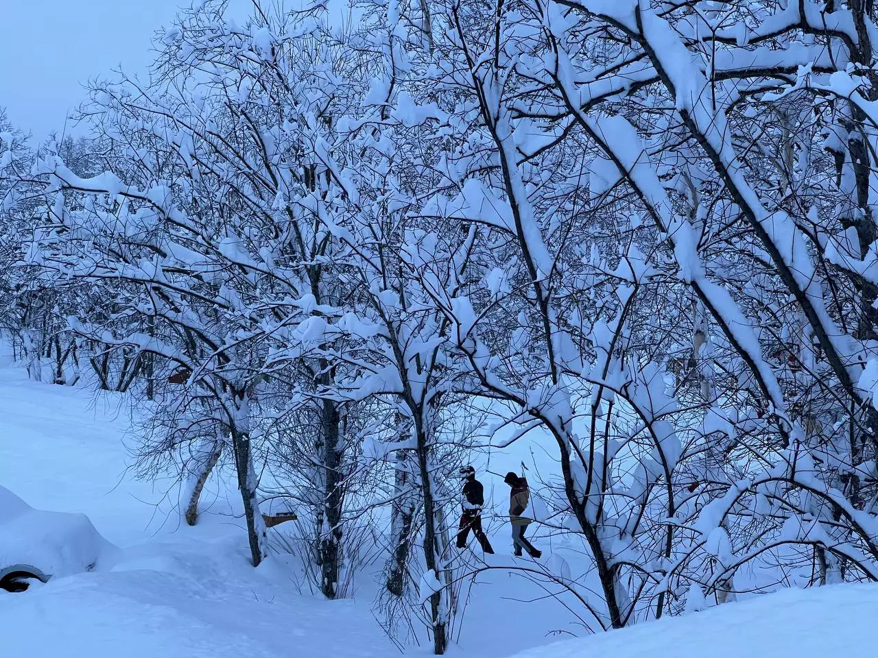 РБК Приморье