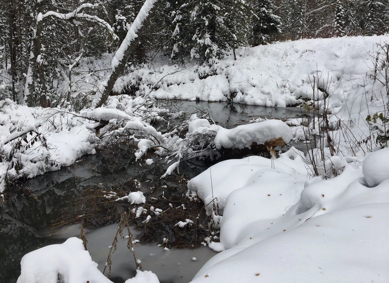 РБК Новосибирск