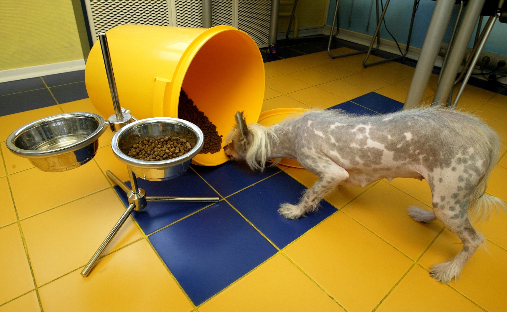 Фото: PhotoXPress.ru