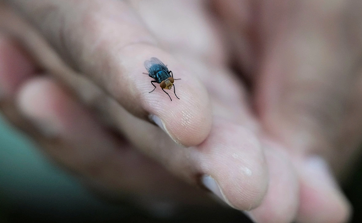 Enea Lebrun / Reuters