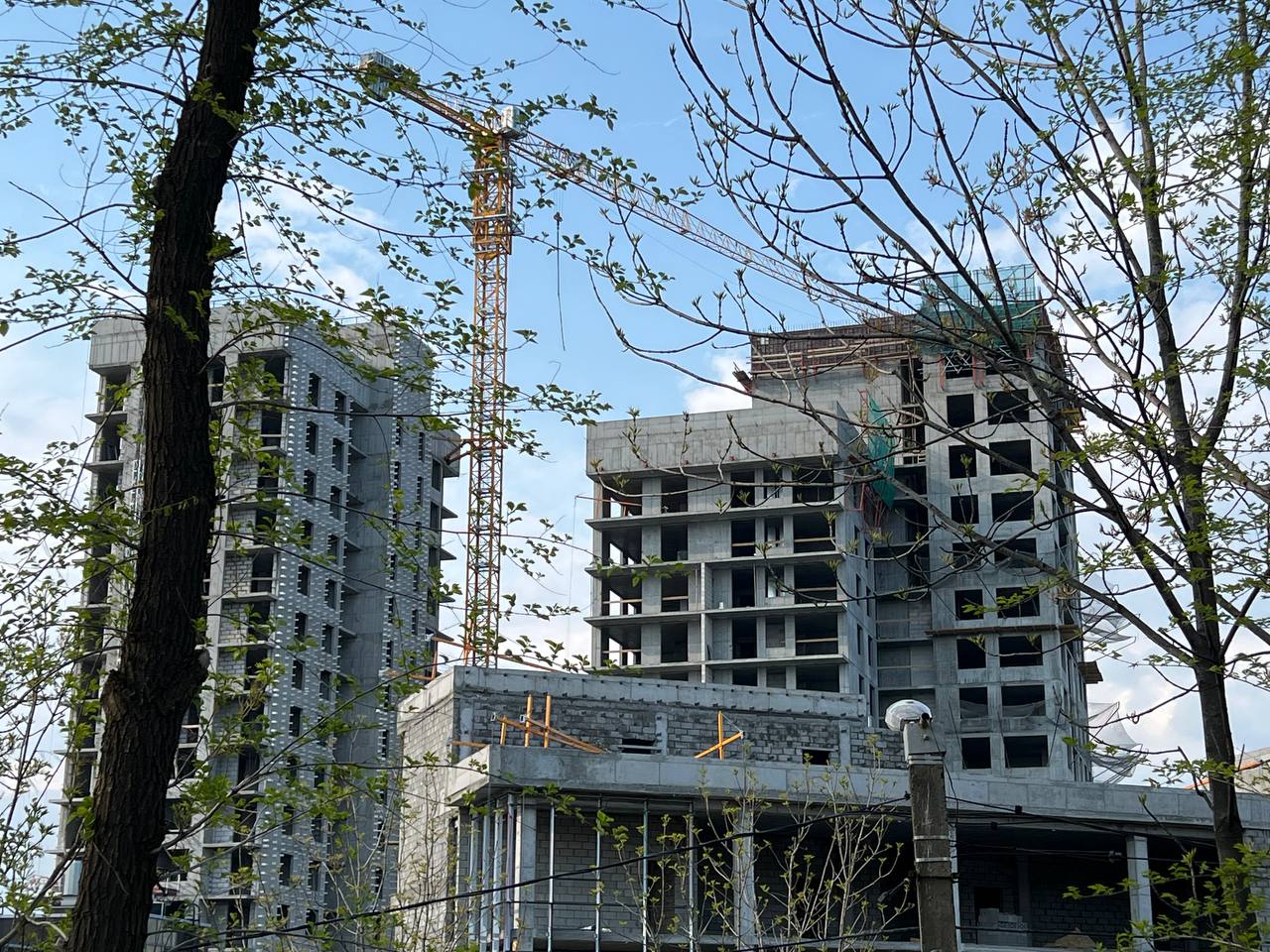 Фото: РБК Приморье