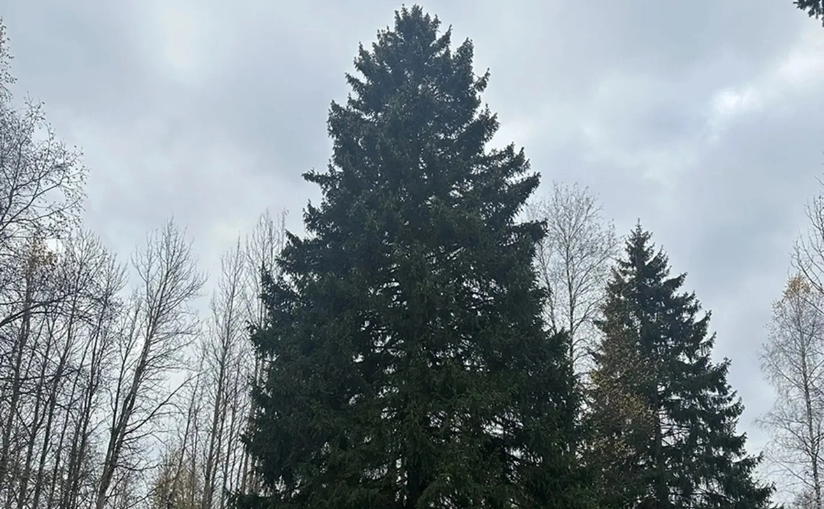 пресс-служба Управления делами президента