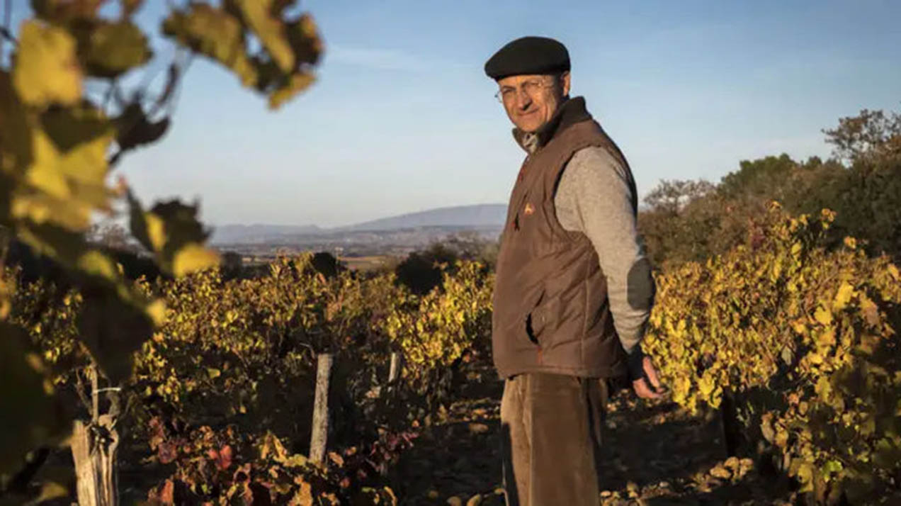 Умер винодел и икона Шатонеф-дю-Пап Эммануэль Рейно