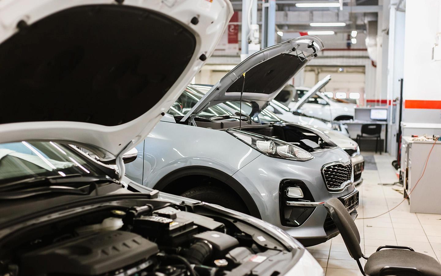 Фото: Libre / Shutterstock / FOTODOM