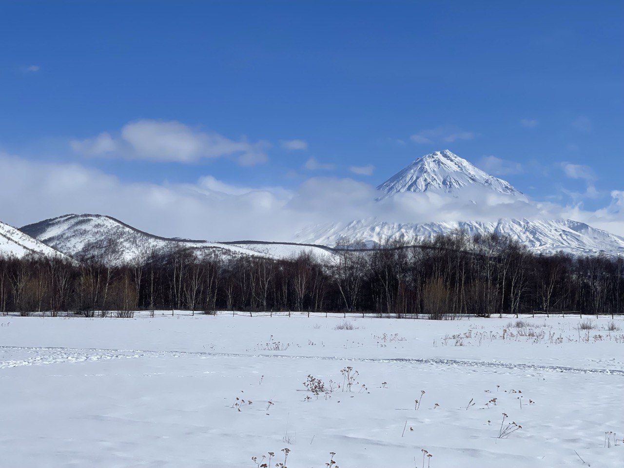 Фото: РБК Приморье