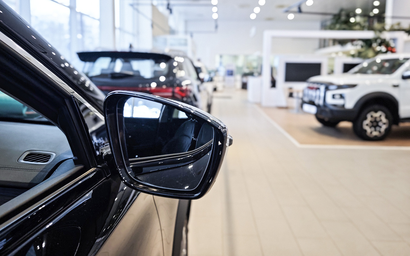 Фото: KELENY / Shutterstock / FOTODOM