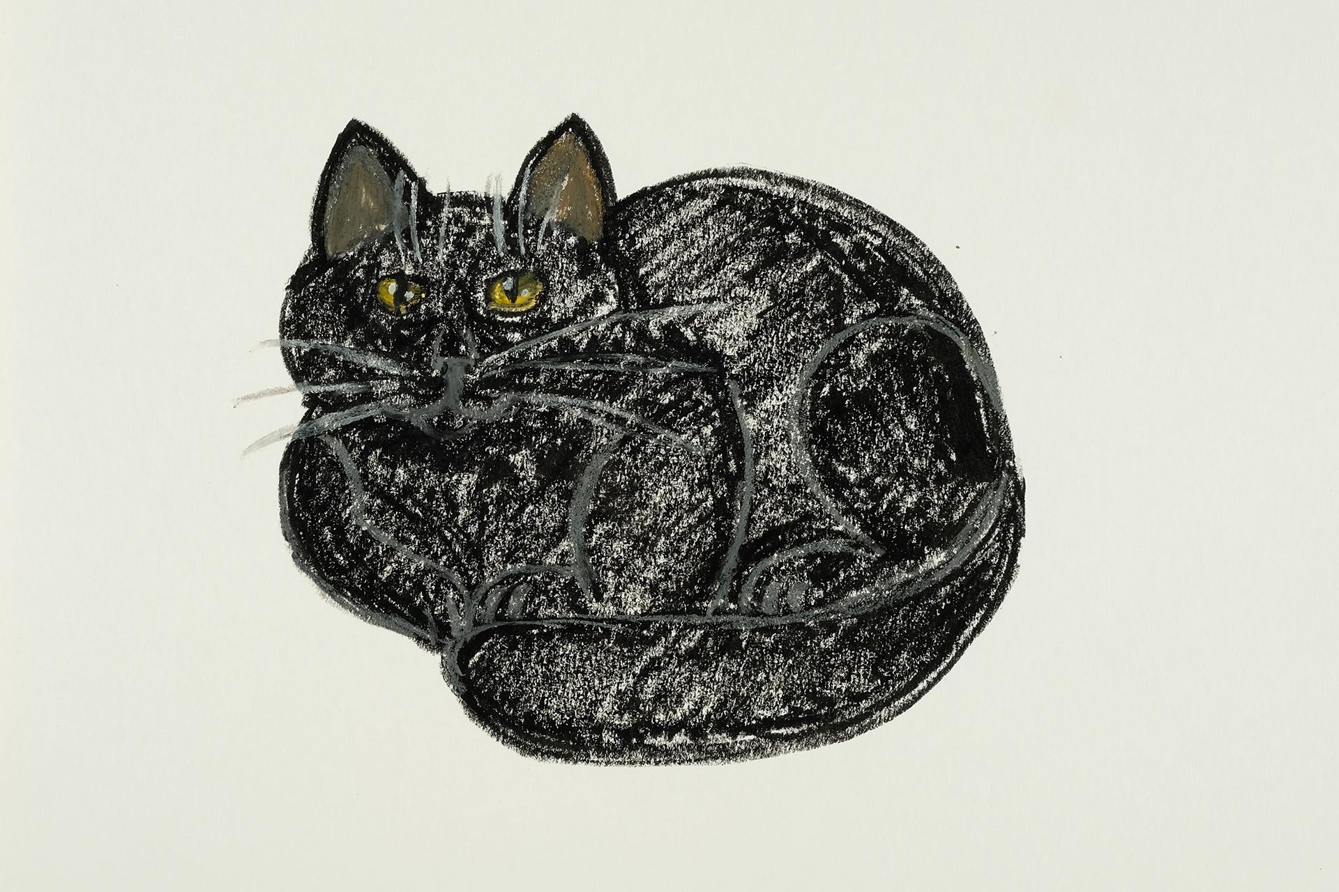 Как меняется подход к поддержке людей с аутизмом