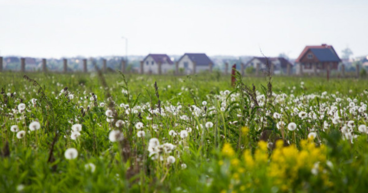 Цена за сотку земли в Калининградской области выросла на треть — РБК