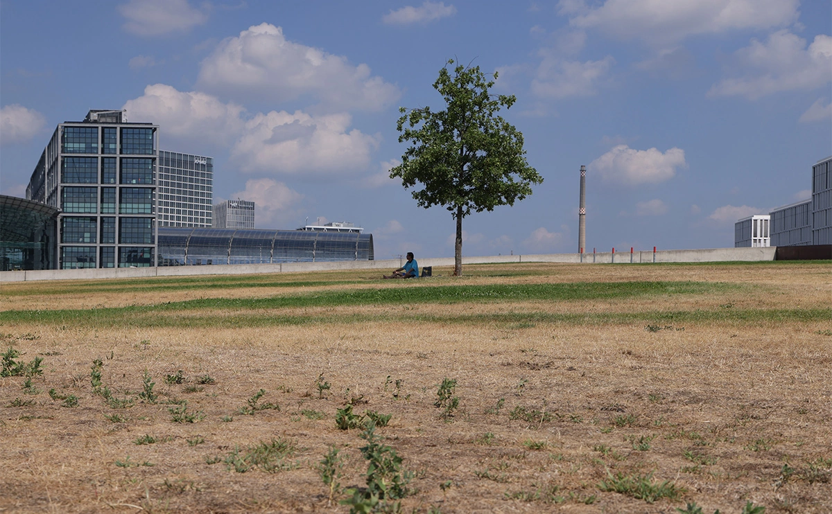 Sean Gallup / Getty Images