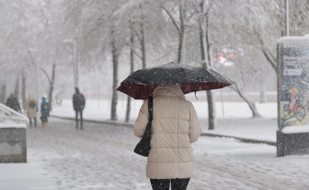 Михаил Гребенщиков / РБК