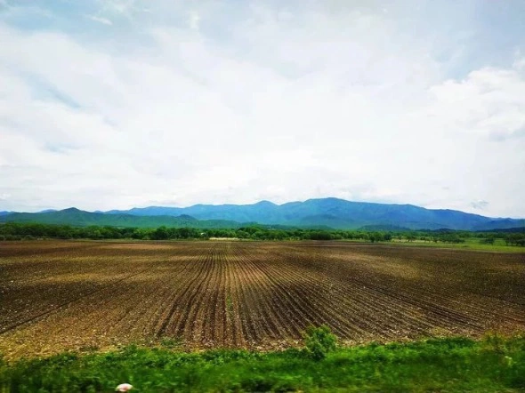 РБК Приморье