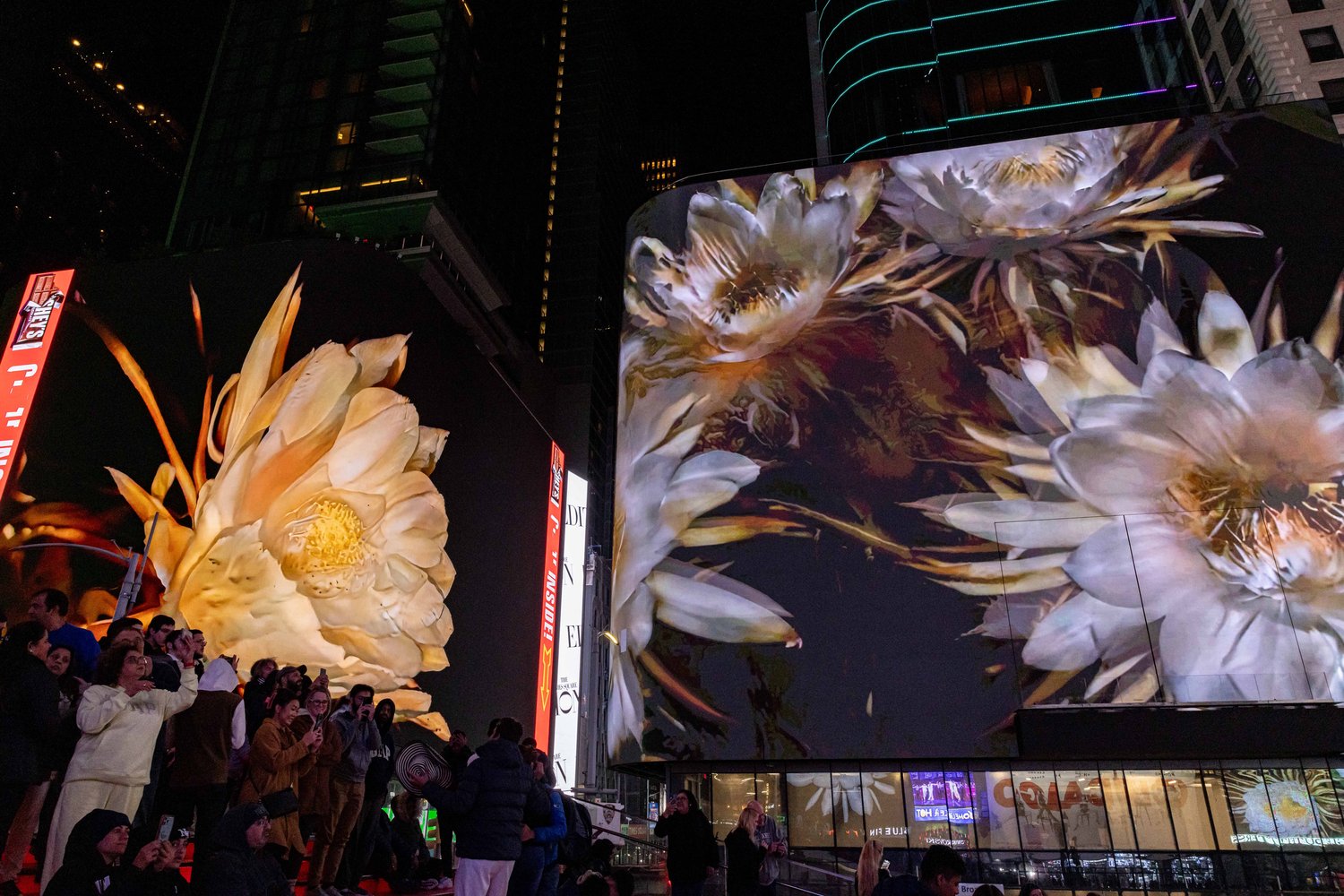 Презентация проекта Circadian Nocturne на Тайм-сквер