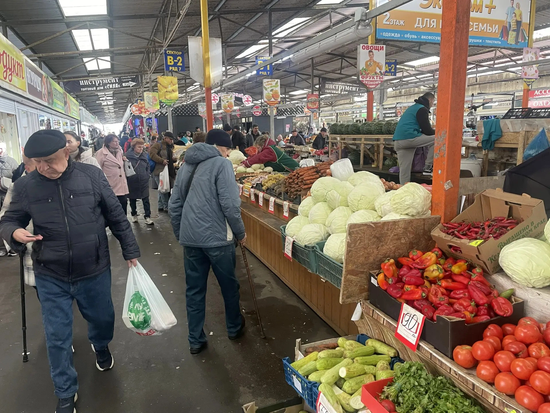 Марина Маркевич