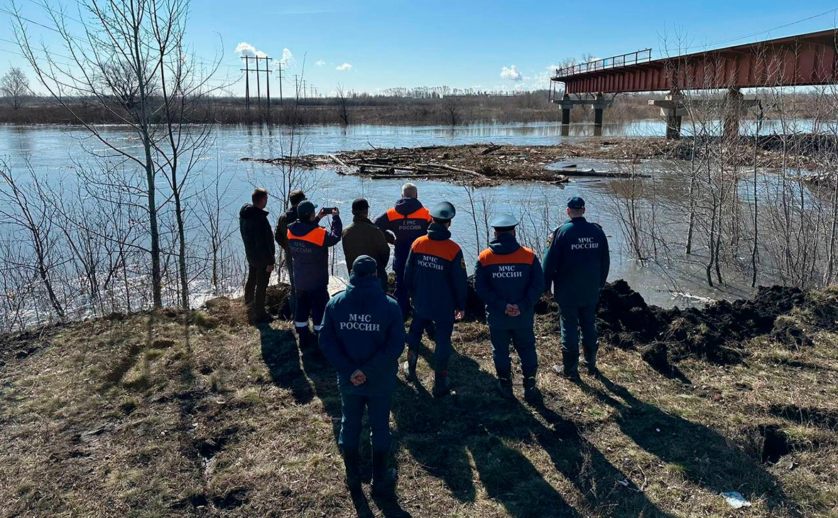 kurganskayaobl / Telegram