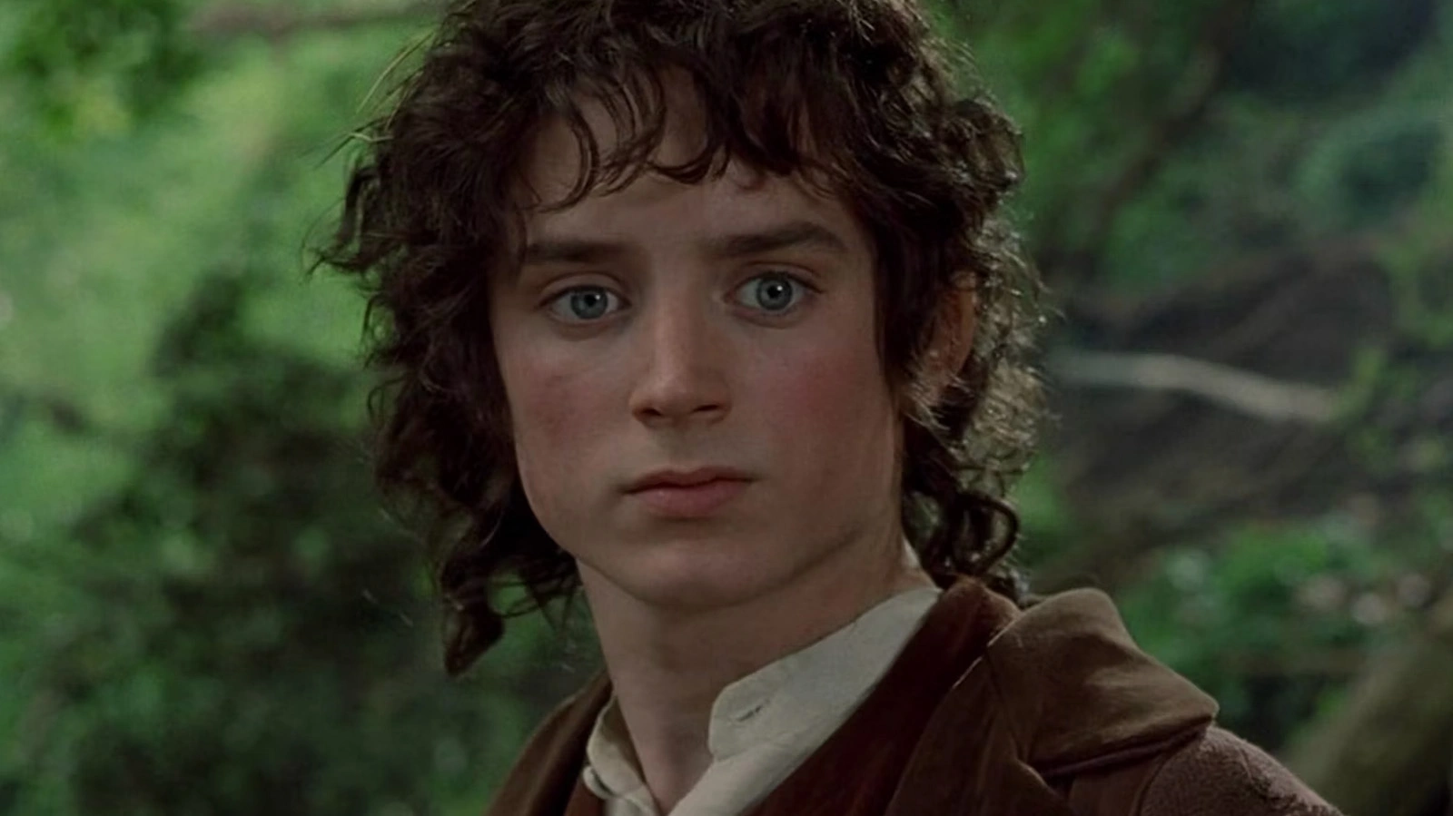 <p>Элайджа Вуд в роли Фродо Бэггинса в трилогии &laquo;Властелин колец&raquo;</p>