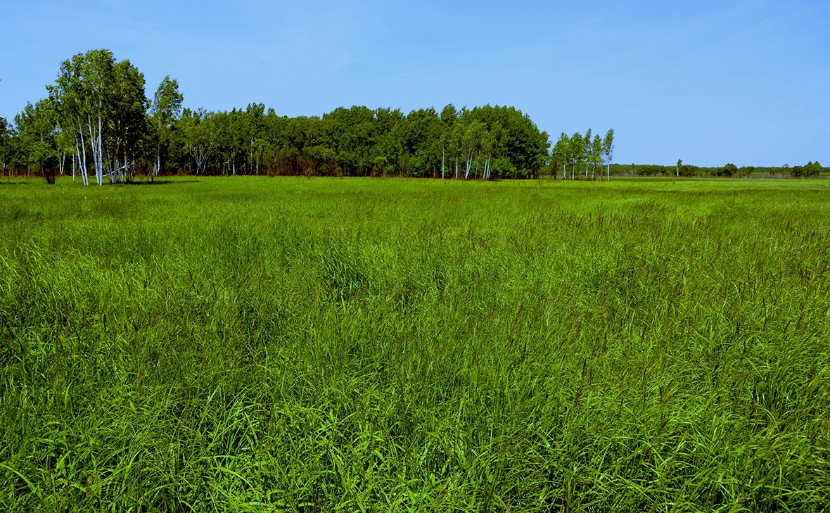 Игорь Онучин / РИА Новости