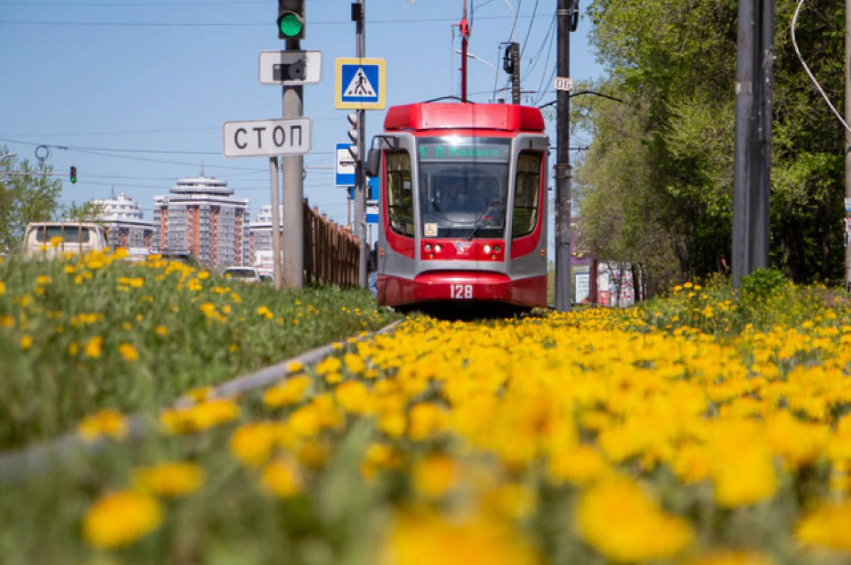 Администрация Хабаровска